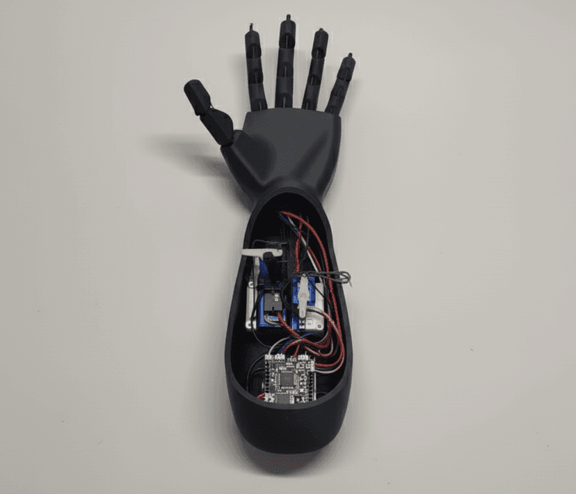 Bionic Arm